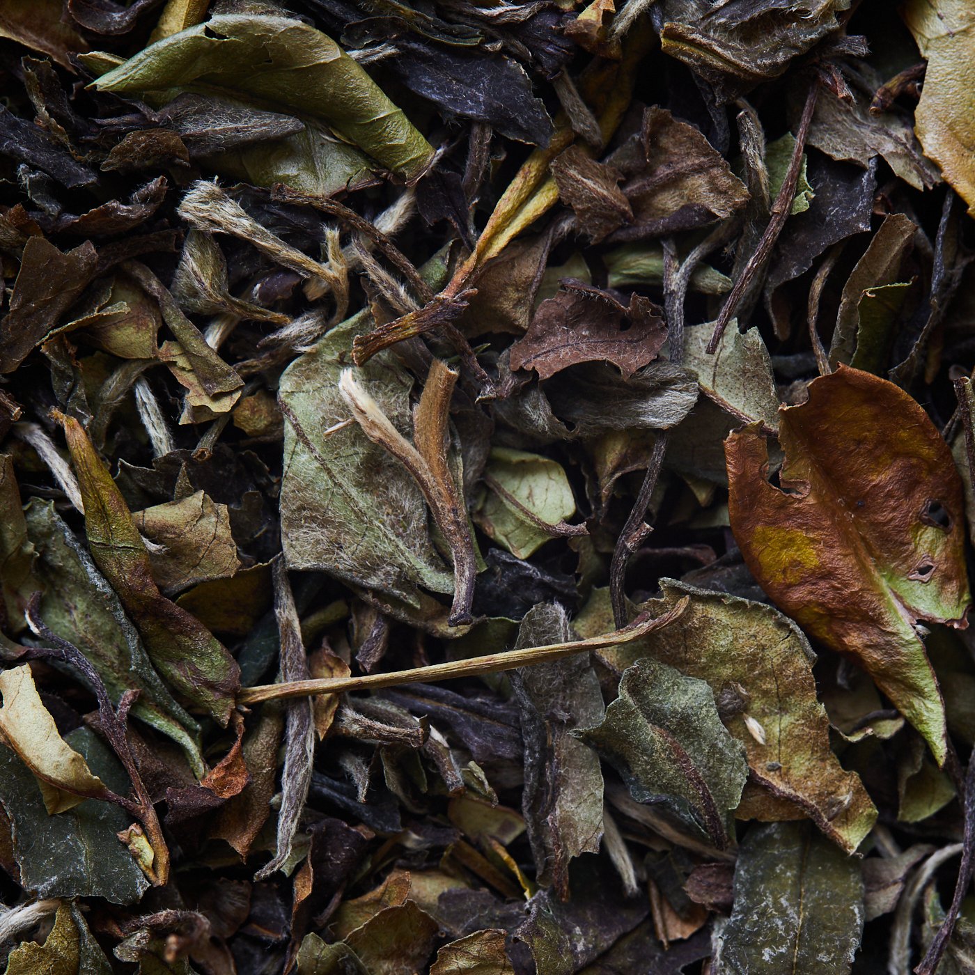 Tè bianco BAI MU DAN - 500gr