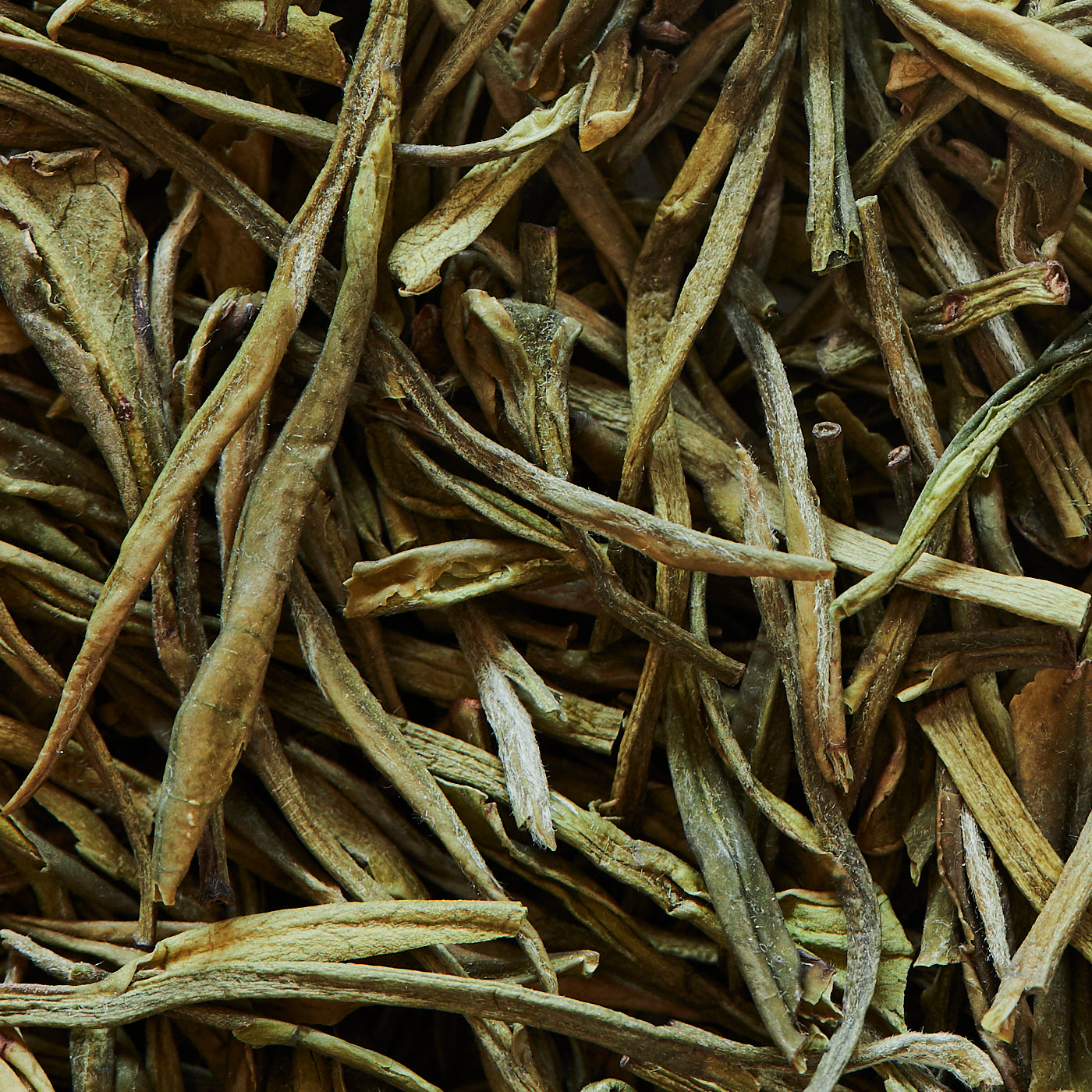 Tè verde ANJI BAI CHA RACCOLTO APRILE 2024 - 100gr