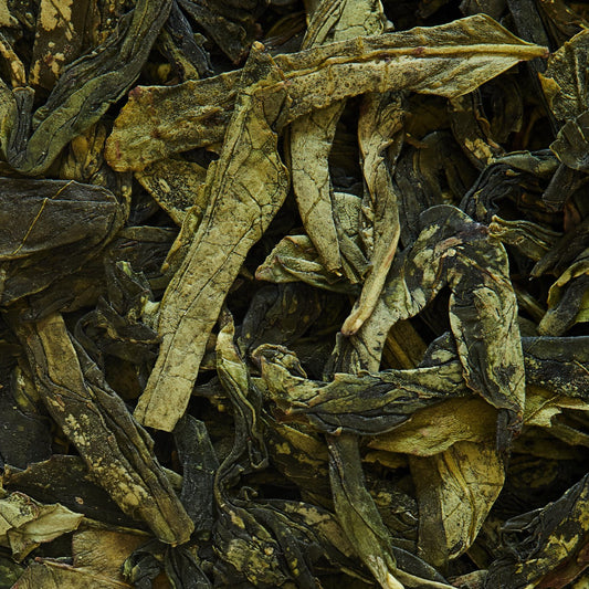 Tè verde LONG JING (LUNG CHING) - 500gr