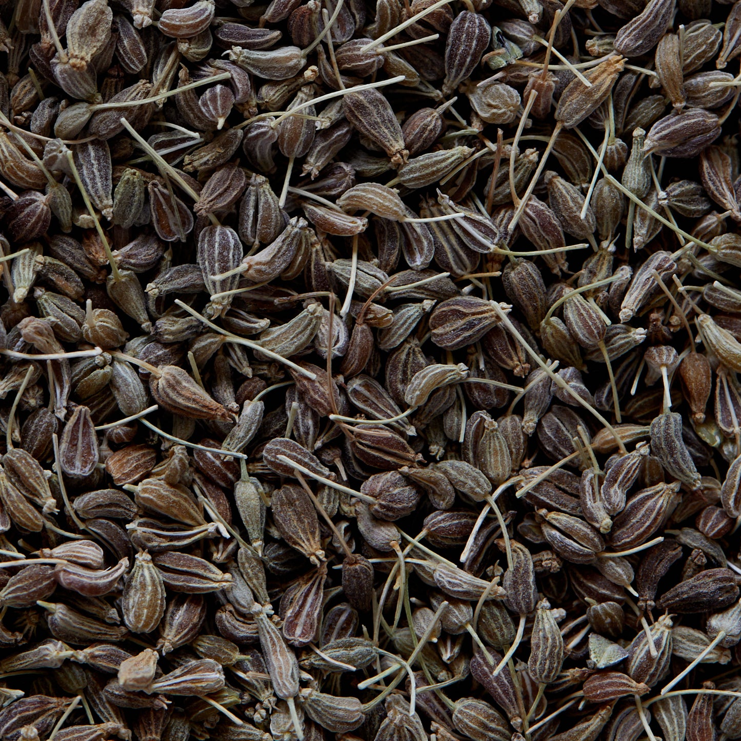 ANICE (901) - 100gr, Egitto, Infusi, tisane, liquori, pane, dolci, carne, verdure, formaggi