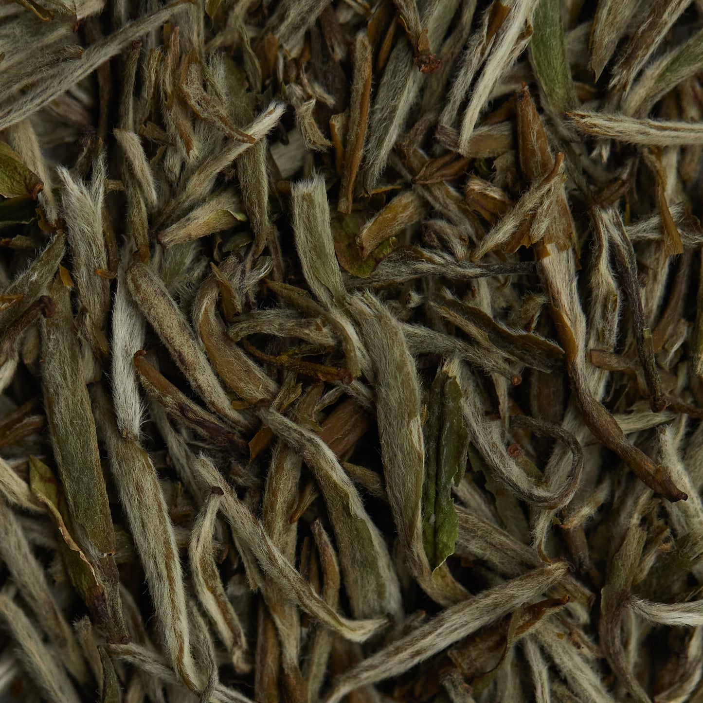 Tè bianco BAI HAO YIN ZHEN - 50gr